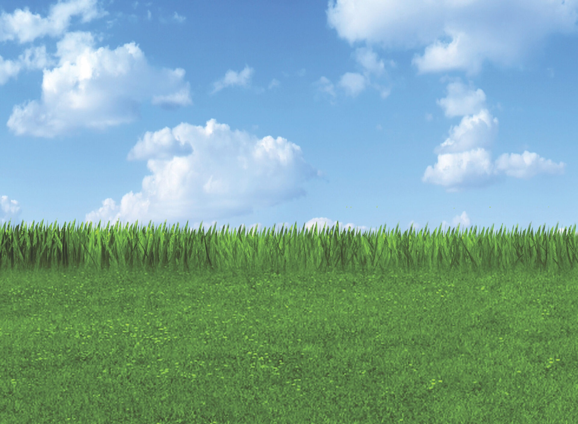 A tranquil scene with a lush green grassy field under a bright blue sky dotted with fluffy white clouds. No people or animals visible.