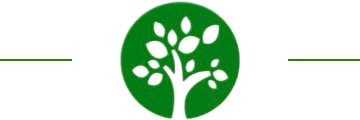 The image shows a simplistic green tree with a circular backdrop, centered in a larger green rectangle with a minimalistic and modern design aesthetic.