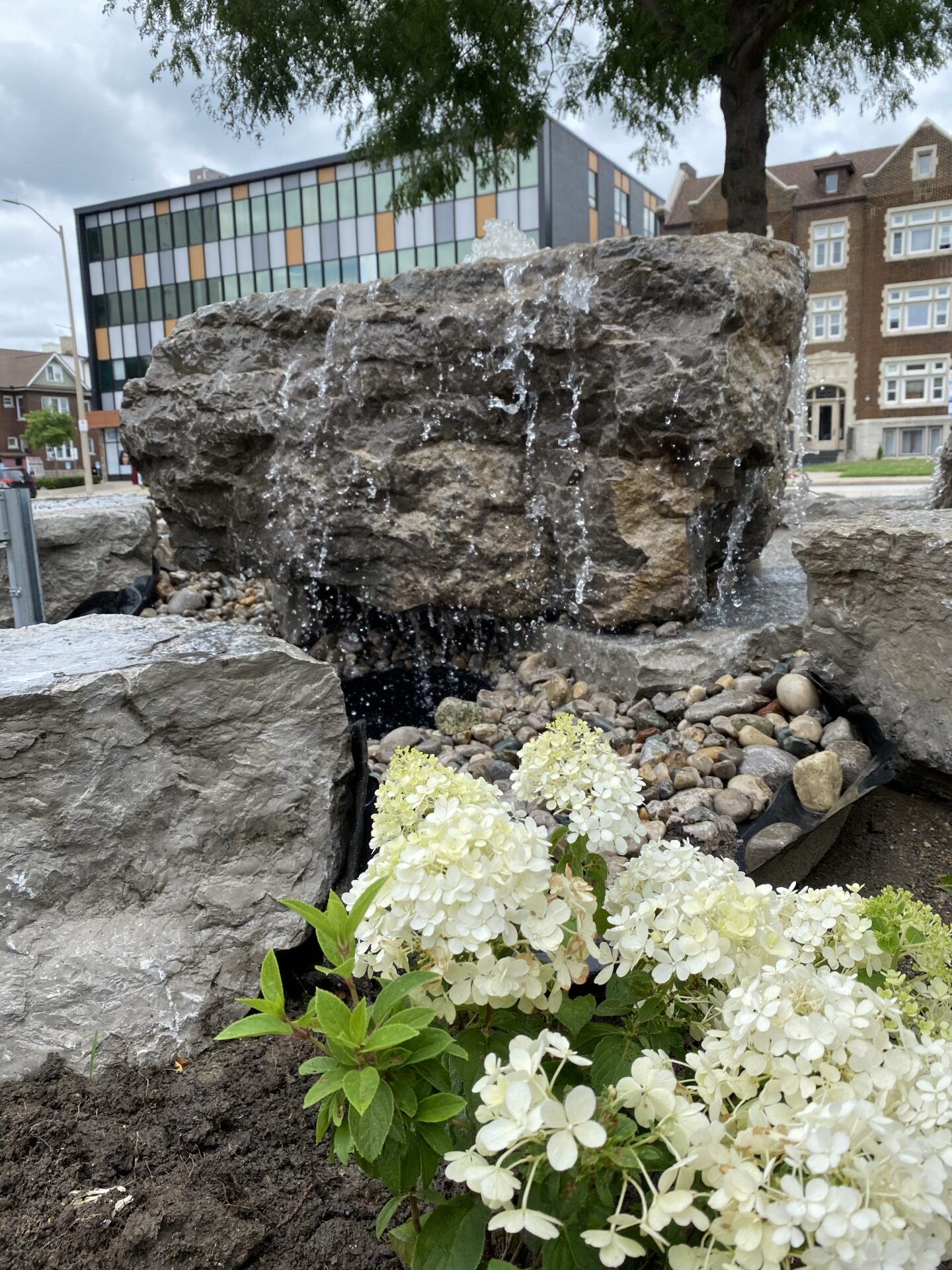 An artificial waterfall cascades over rocks, flanked by blooming white hydrangeas, with urban buildings and a tree in the background.