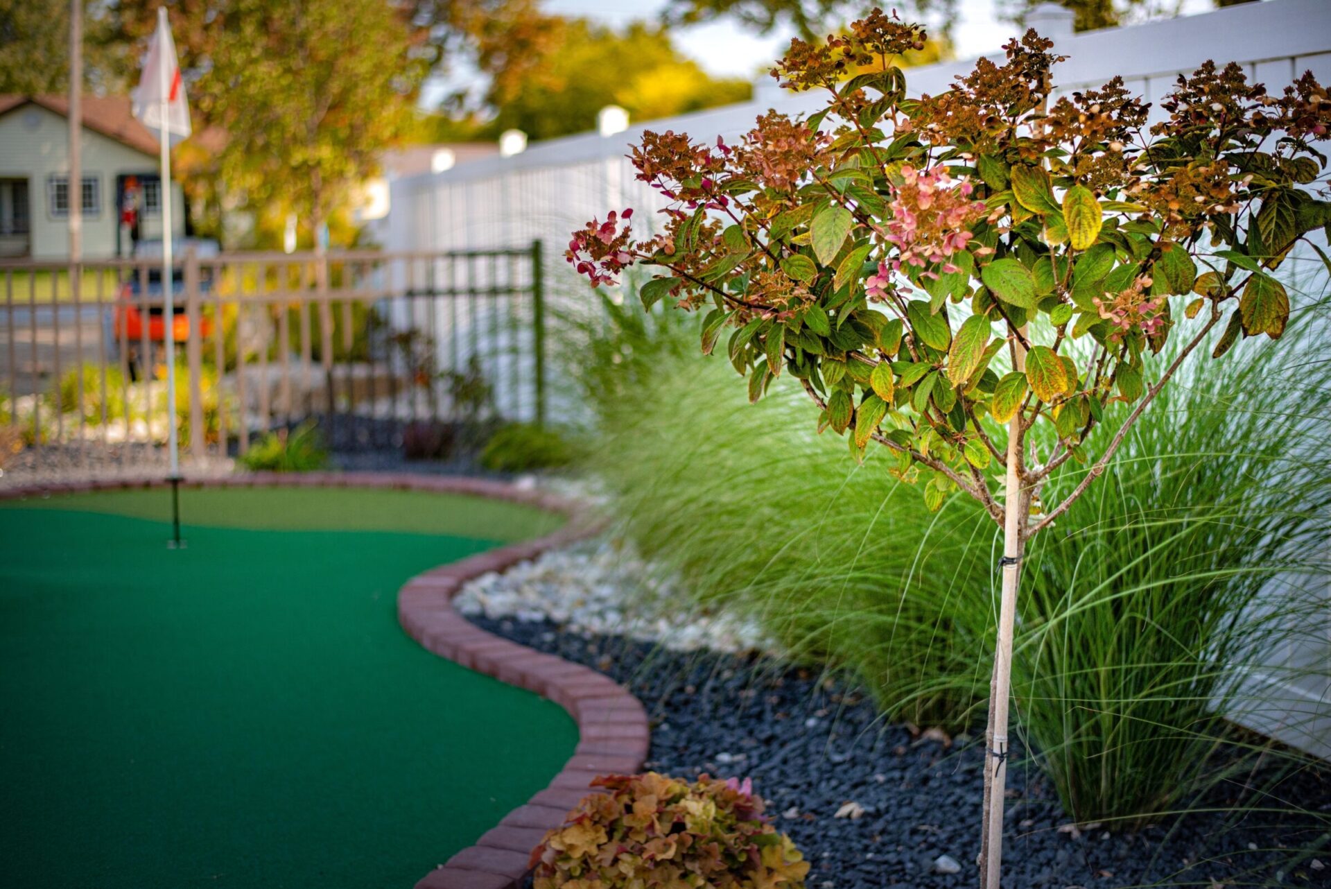 A small tree with reddish leaves stands in focus in the foreground of a miniature golf course with a curved path, white rocks, and lush grasses.