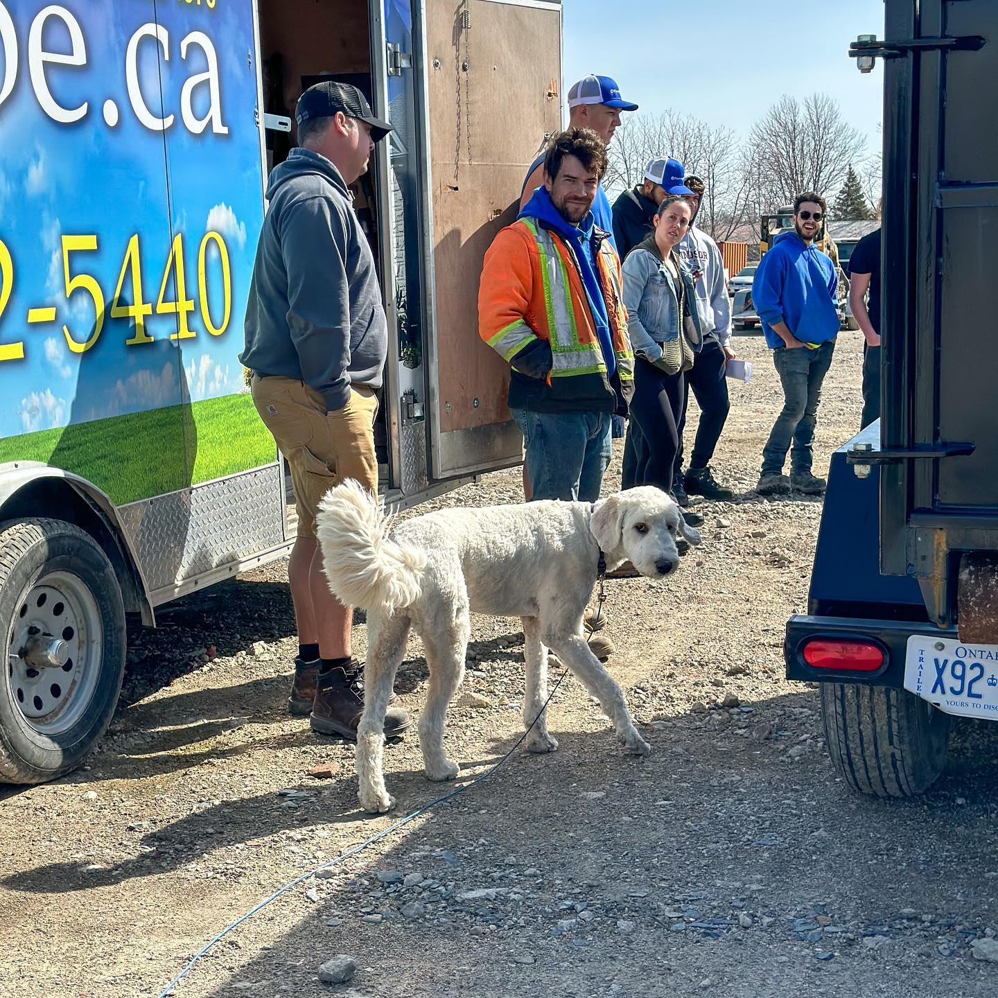 A group of people in casual and work attire stand near a trailer. Two dogs, one with a fluffy tail, are in the foreground.