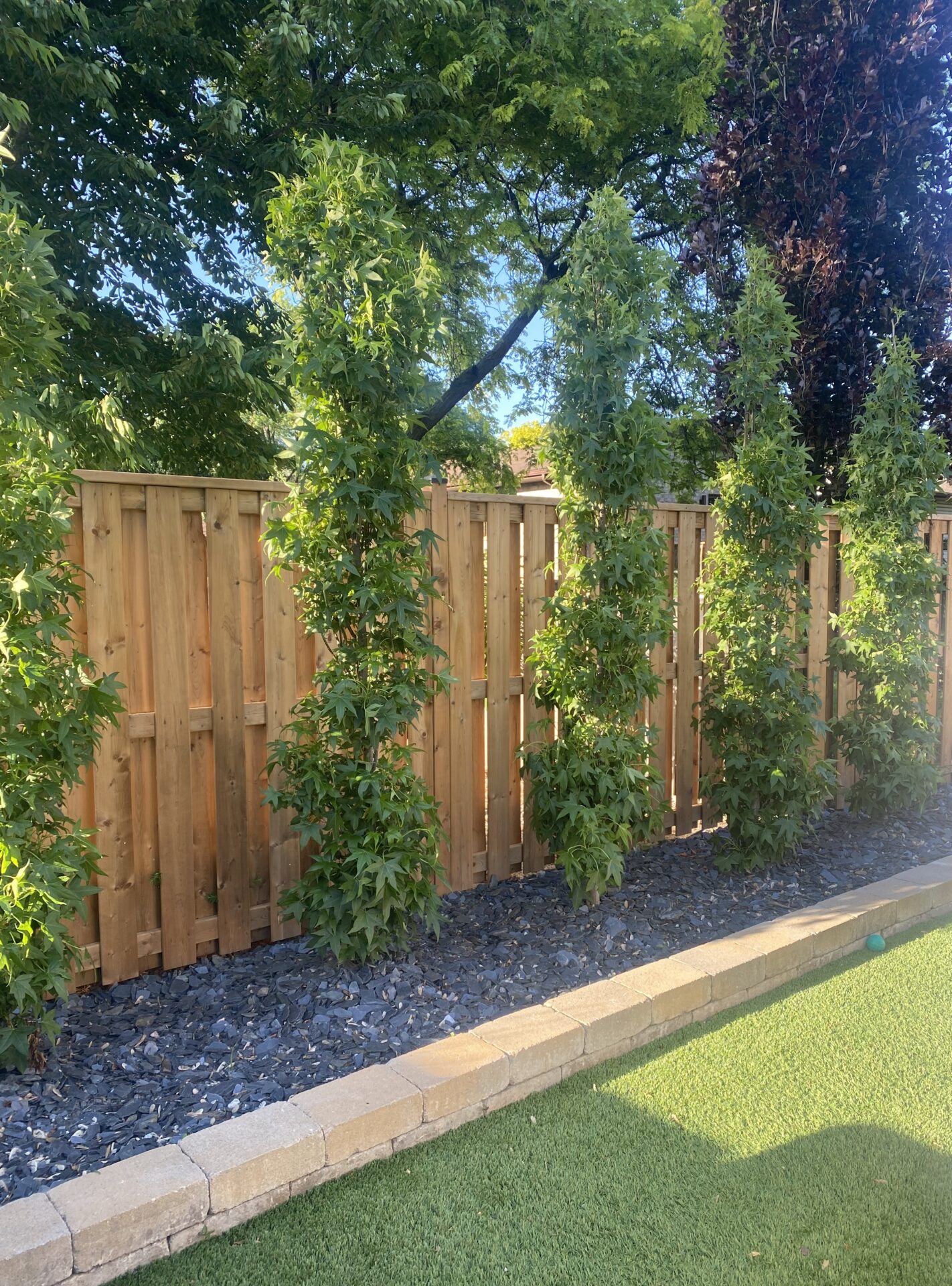 A wooden fence with growing vines is bordered by gray stones, behind which trees with green and maroon leaves overlook artificial turf.