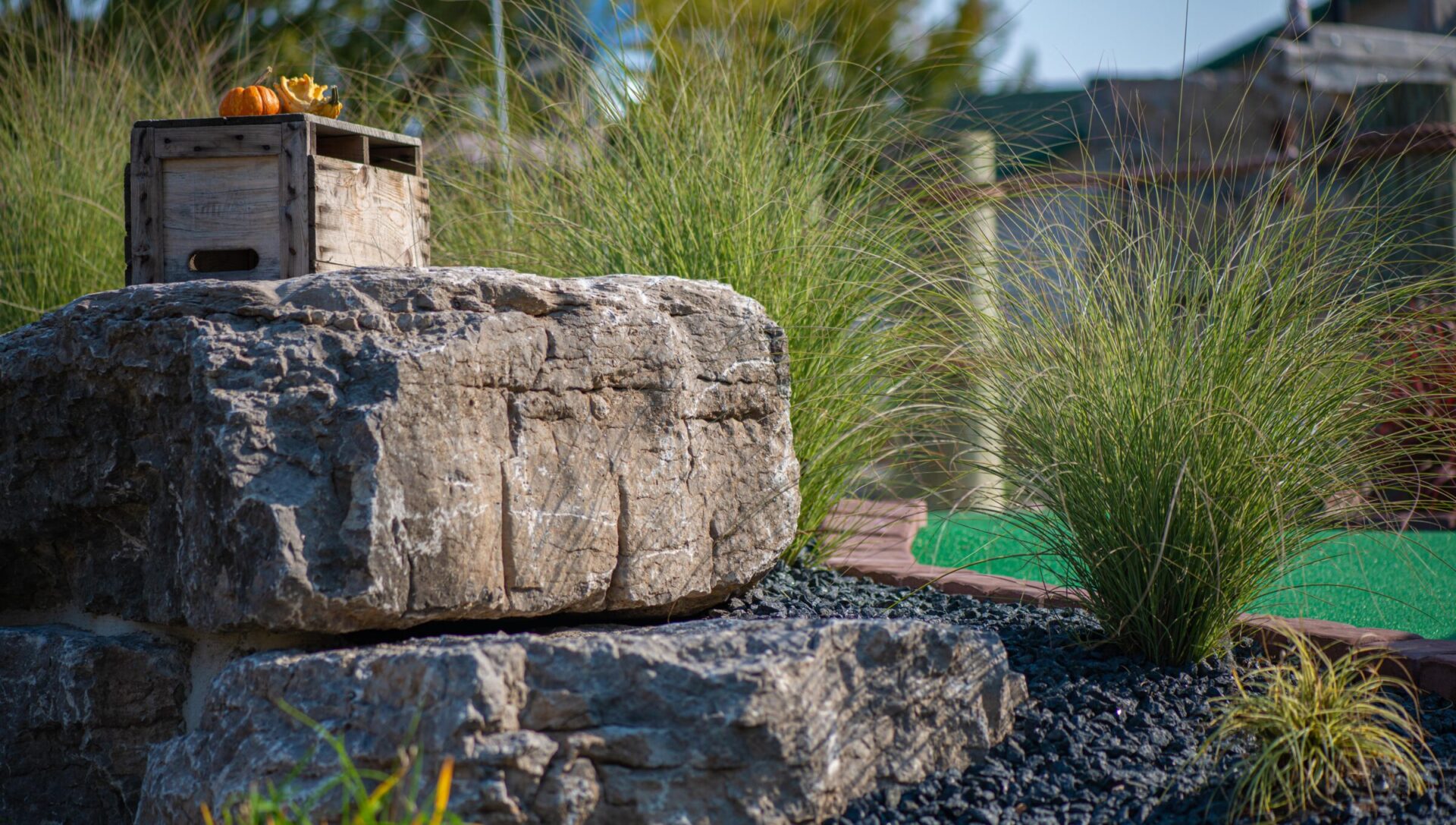 This image shows large textured rocks with a rustic wooden crate on top, small pumpkins, lush green grasses, black pebbles, and a hint of artificial turf.