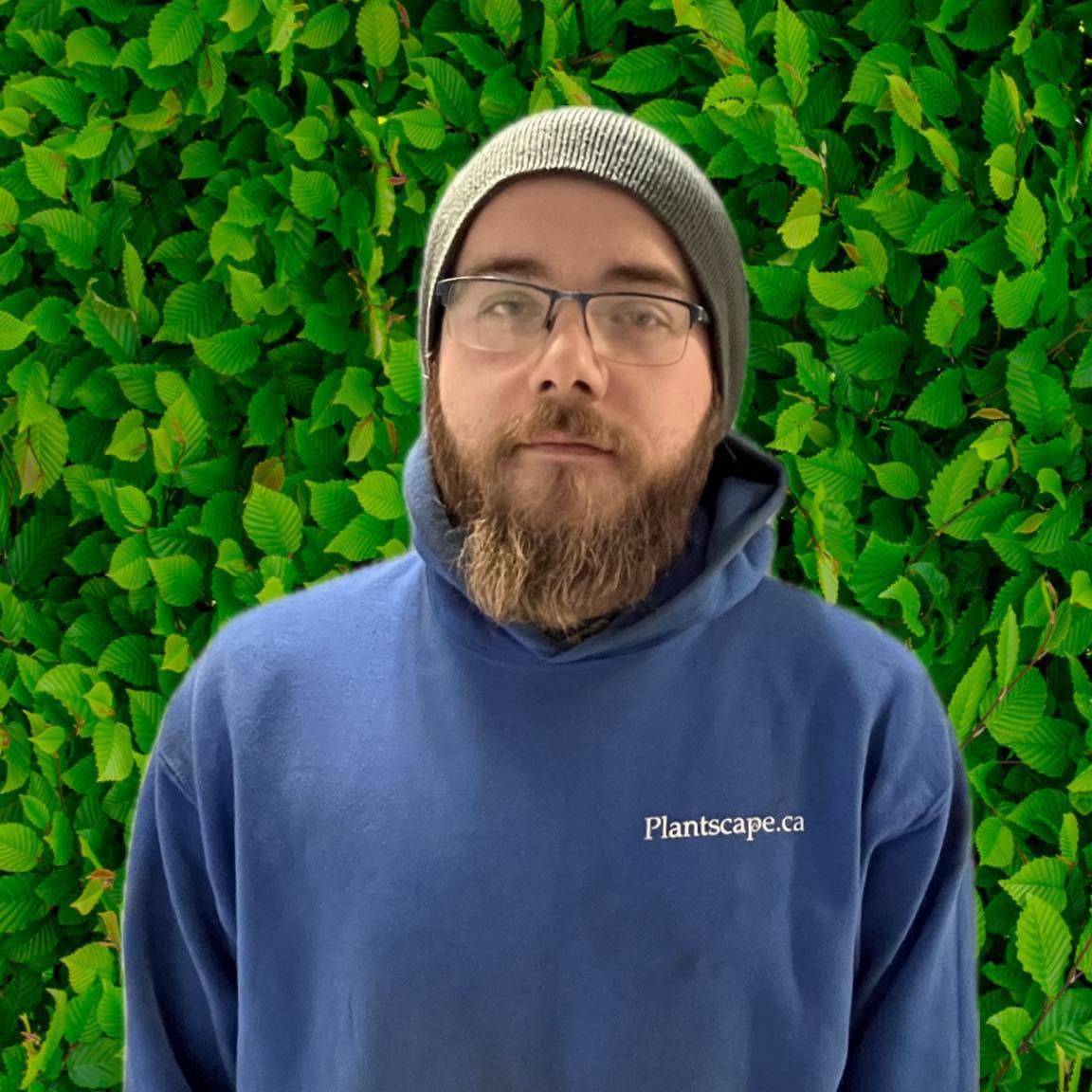 A person with a beard and glasses wearing a blue hoodie and gray beanie stands before a background of green leaves. The hoodie has "Plantscape.ca" printed on it.