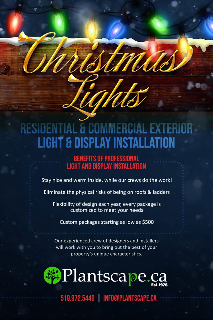 An advertisement for Christmas lights installation services, featuring multicolored lights, contact details, and service perks like safety and design customization on a night sky backdrop.
