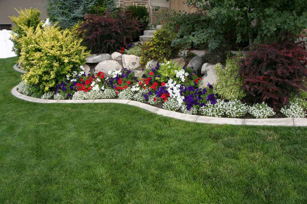 homeowner looking at a landscape plan with a designer in Windsor backyard