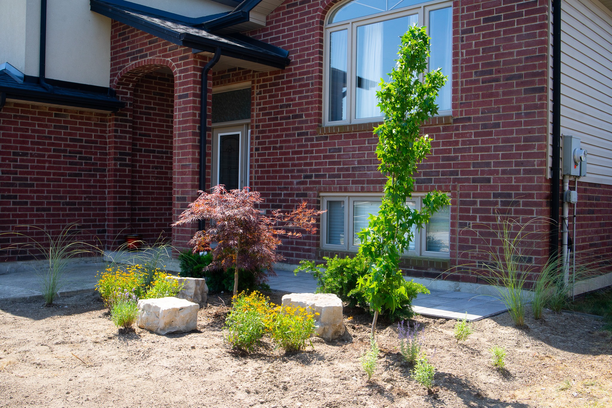 homeowner looking at a landscape plan with a designer in Windsor backyard