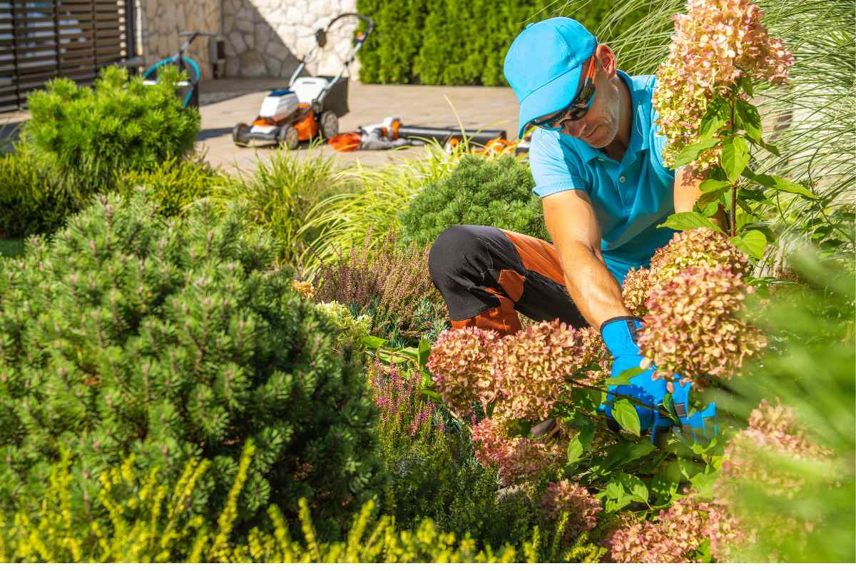A team member helping implement some gorgeous landscape design.